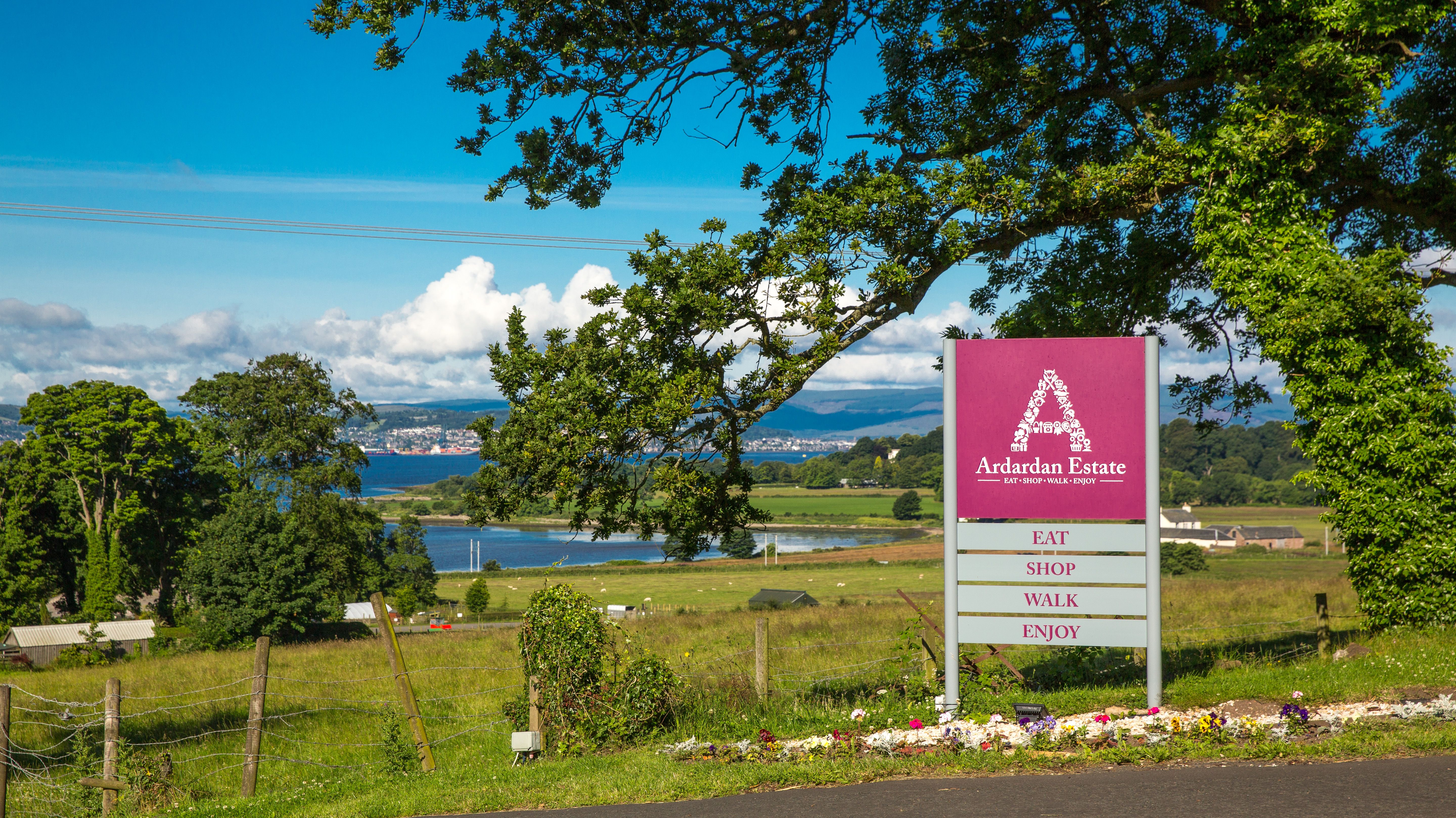 Read more about the article The secrets of succeeding in retail