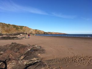 Read more about the article All work and no play