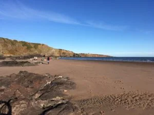 Read more about the article All work and no play